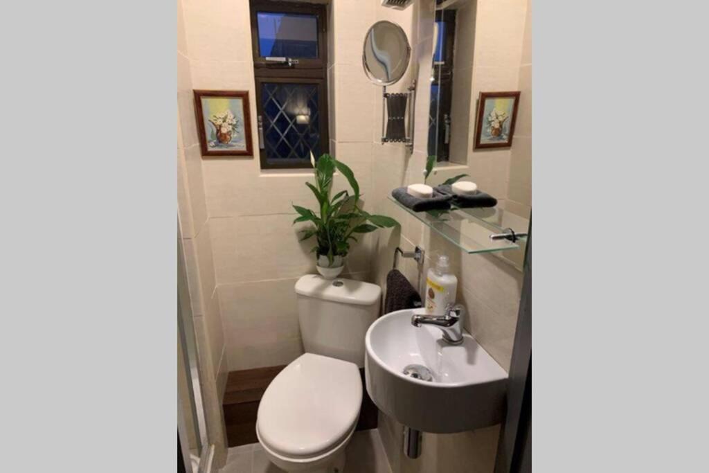 Upstairs Studio - Private Kitchenette And Small En-Suite Dublin Extérieur photo